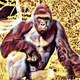 Illustration for article titled Harambe, The Most Glorious Of Gods Animals, And The Truth